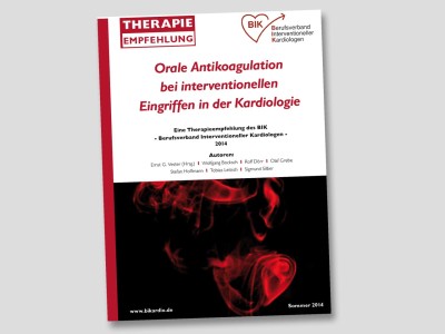 BIK THERAPIELEITFADEN 2018